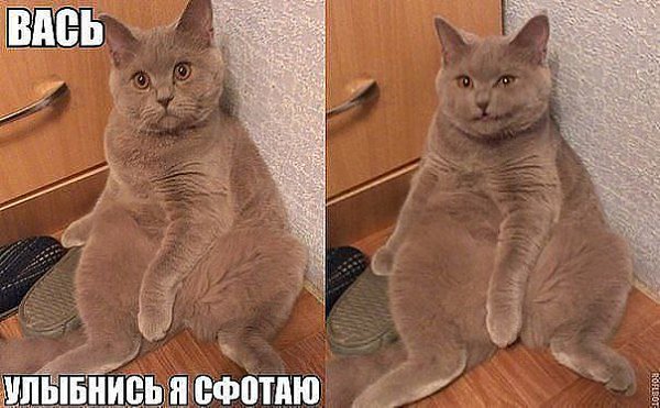 Ivan Karataev - 25  2015  12:20