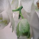 ���� ����, ������, 46 ��� - ��������� 30 ����� 2015 � ������ ���� ����������