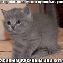 ���� �, ������ - ��������� 26 ����� 2015 � ������ ������ ��������