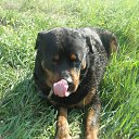 ���� - Inferno, ������ - ��������� 21 ������ 2015 � ������ ���� ���� ������ � �����, ���...�