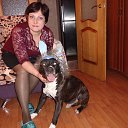 ���� �����, ������ - ��������� 2 ������ 2015 � ������ ���� ����������