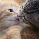 ���� ����, ������, 45 ��� - ��������� 21 ������ 2015 � ������ ���� ����������