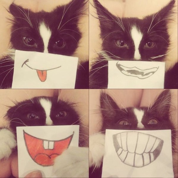     :)