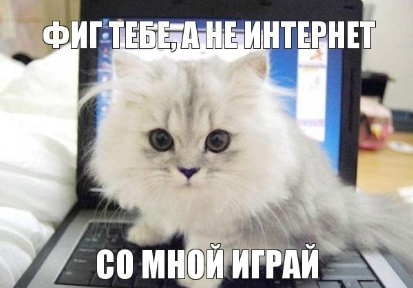       - 23  2015  12:01