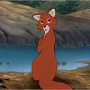 ���� ����, ����������� - ��������� 5 ������ 2015 � ������ ������ ��������