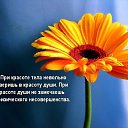  , , 59  -  2  2015    ,  ??        !)