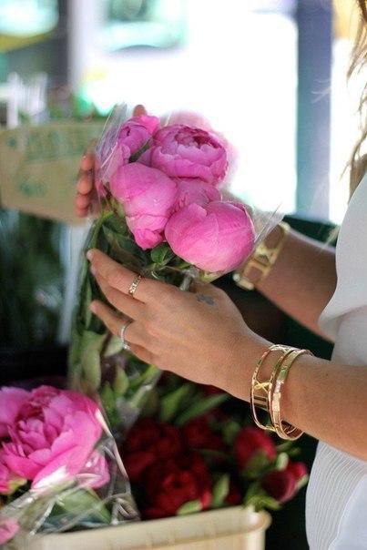    - 12  2015  13:33 - 5