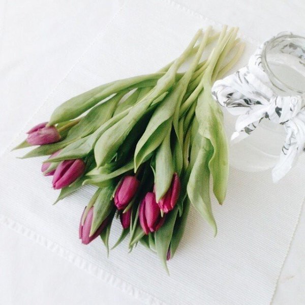   |  |  - 26  2015  18:42 - 2