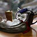 ���� - ��� -, ������-��-���� - ��������� 28 ������� 2014 � ������ ���� ����������