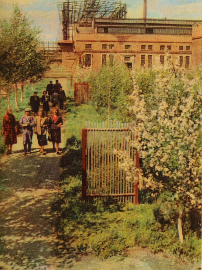 1956 . - 3