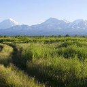 ���� ��������, ������ ���, 70 ��� - ��������� 14 ������� 2014 � ������ ���� ����������