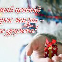 ���� �������, ��������, 55 ��� - ��������� 15 ����� 2015 � ������ �������� ��������