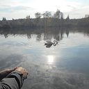 ���� ��������, ������������, 53 ���� - ��������� 16 ������ 2015