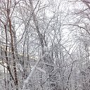 ���� Valka, ������, 63 ���� - ��������� 30 ������ 2015 � ������ ���� ����������