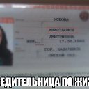 ���� �������, �����������, 46 ��� - ��������� 9 ������� 2015 � ������ ������ ��������