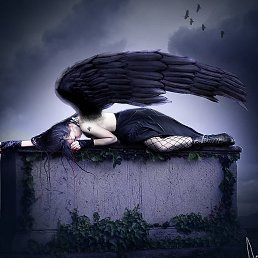 �����, ������, 37 ���