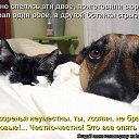 ���� �������, �������, 51 ��� - ��������� 21 ����� 2015 � ������ ������ ��������