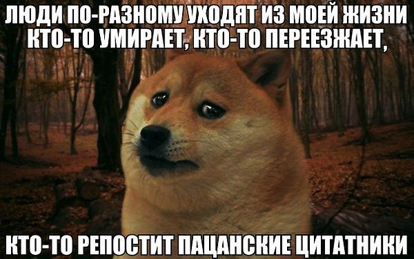 .X - 19  2015  20:35