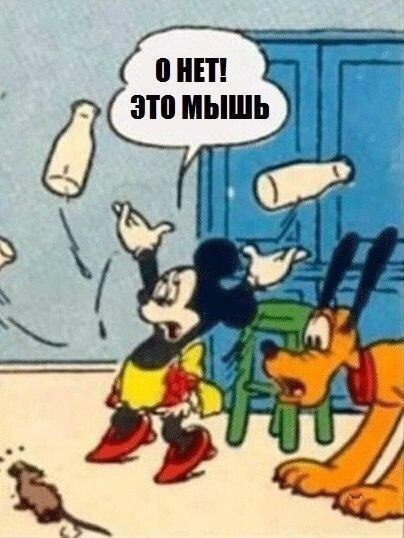  - 31  2015  18:02
