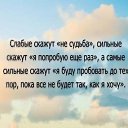  , , 64  -  25  2015      ,   !