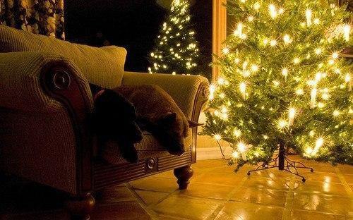 ...   ...12   ...52   ...365  ...