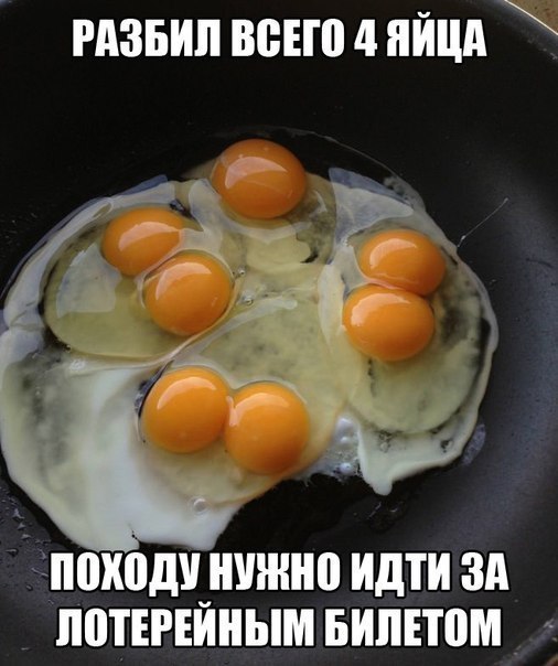   - 8  2015  01:06