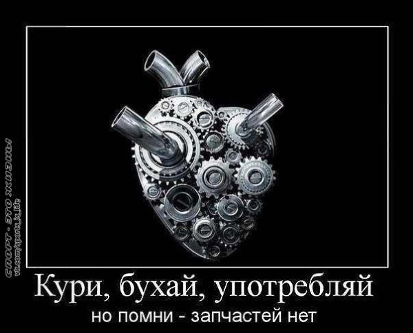 ����� - ��� ����� - 6 ������ 2015 � 00:59