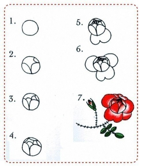 Роза схема 1 класс