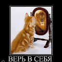 ���� ����, ������, 51 ��� - ��������� 2 ������� 2015 � ������ ������ ��������