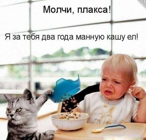 Yulia - 4  2015  01:57