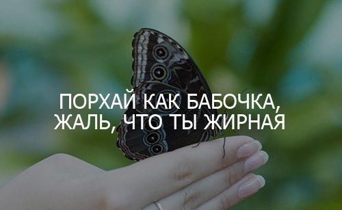   : fotostrana.ru/public/233541