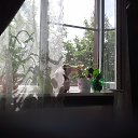 ���� �������, ������, 65 ��� - ��������� 21 ������ 2015 � ������ ���� ����������