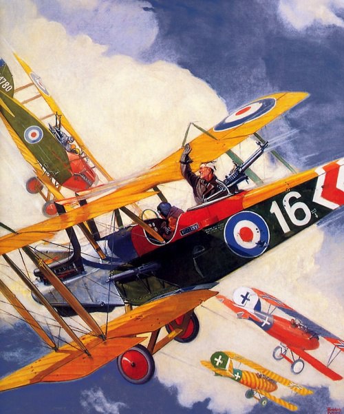  Rudolph Belarski (1900-1983)  27  1900     ,  ... - 14