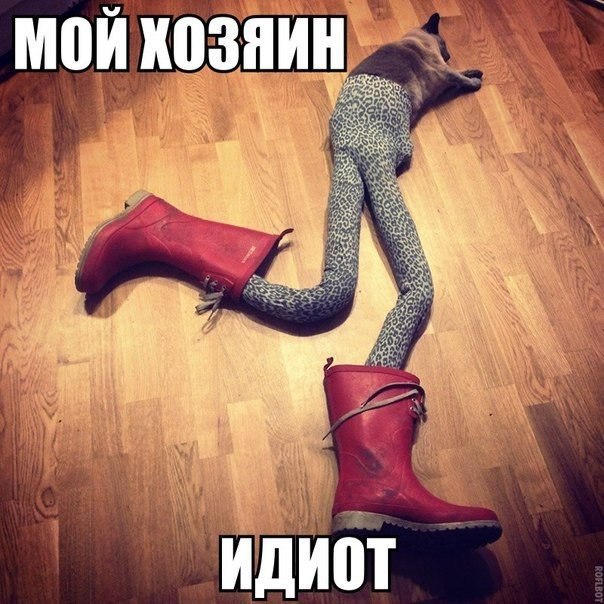      - 15  2015  12:31