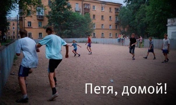 ,     . - 8
