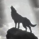 ���� ����, ��������, 65 ��� - ��������� 12 ������ 2015 � ������ ���� ����������