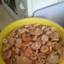 ��������-14 �� ������� ���� ��������...��� ��������...�