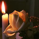 ���� ����, ����� - ��������� 9 ������� 2015 � ������ ���� ����������