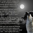 ���� ����, �������, 49 ��� - ��������� 4 ������� 2015 � ������ ���� ����������
