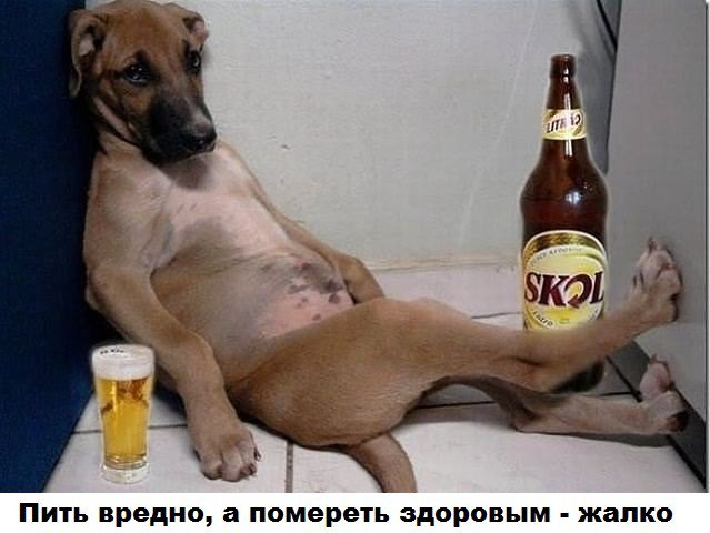  - 5  2015  20:59