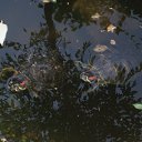 ������� ���������. �� ������� ���� ����������