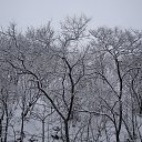 ���� �������, �����������, 62 ���� - ��������� 3 ������ 2015 � ������ ���� ����������