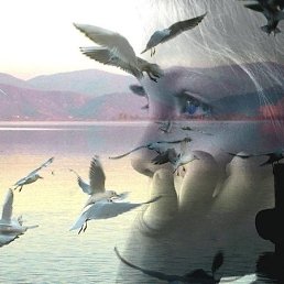 �������, ������, 43 ����