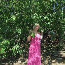 ���� ����, ������ - ��������� 25 ������� 2015 � ������ ���� ����������