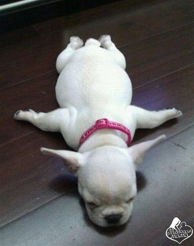 ���� �������...