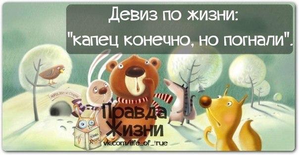 Прикольные девизы по жизни