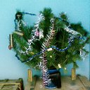 ���� ������, ������-��-����, 47 ��� - ��������� 7 ������ 2015 � ������ ������ ��������