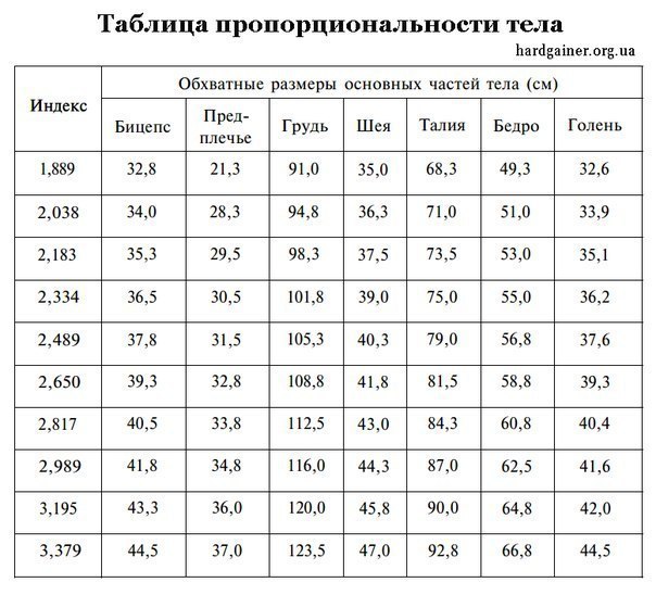 Узнайте, насколько пропорционально ваше тело.Для расчета оптимальных параметров тела существует ...