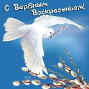 ���� �������, ������, 54 ���� - ��������� 5 ������ 2015 � ������ ���� ����������