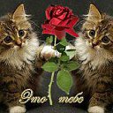 ���� Roberto, �������, 68 ��� - ��������� 15 ����� 2015 � ������ ������ ��������